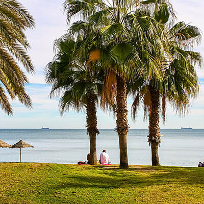 Sol och palmer i Malaga, Spanien