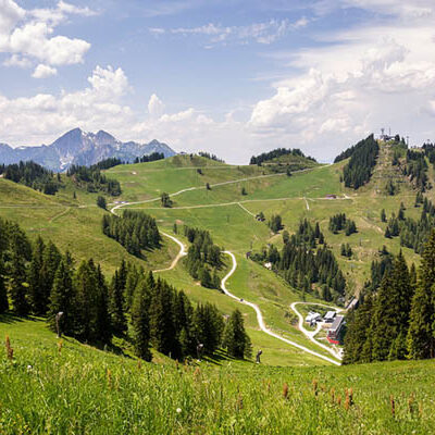 Natur och kullar omkring Salzburgerland